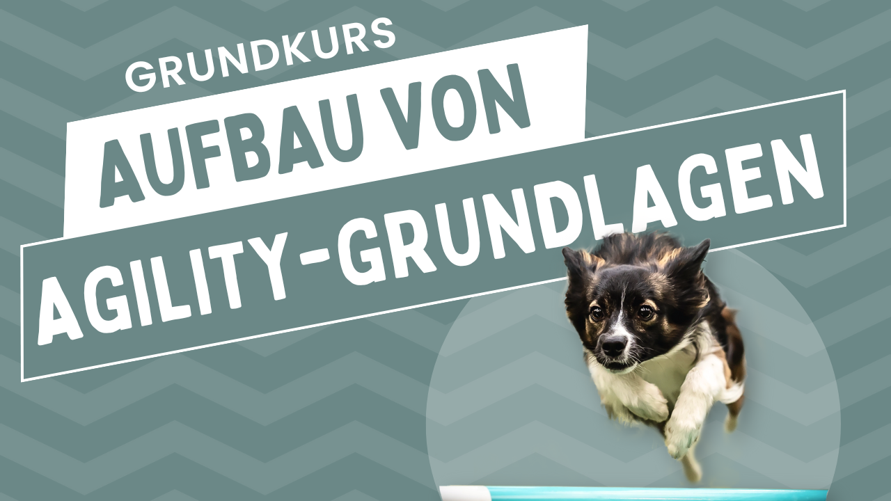 Grundkurs