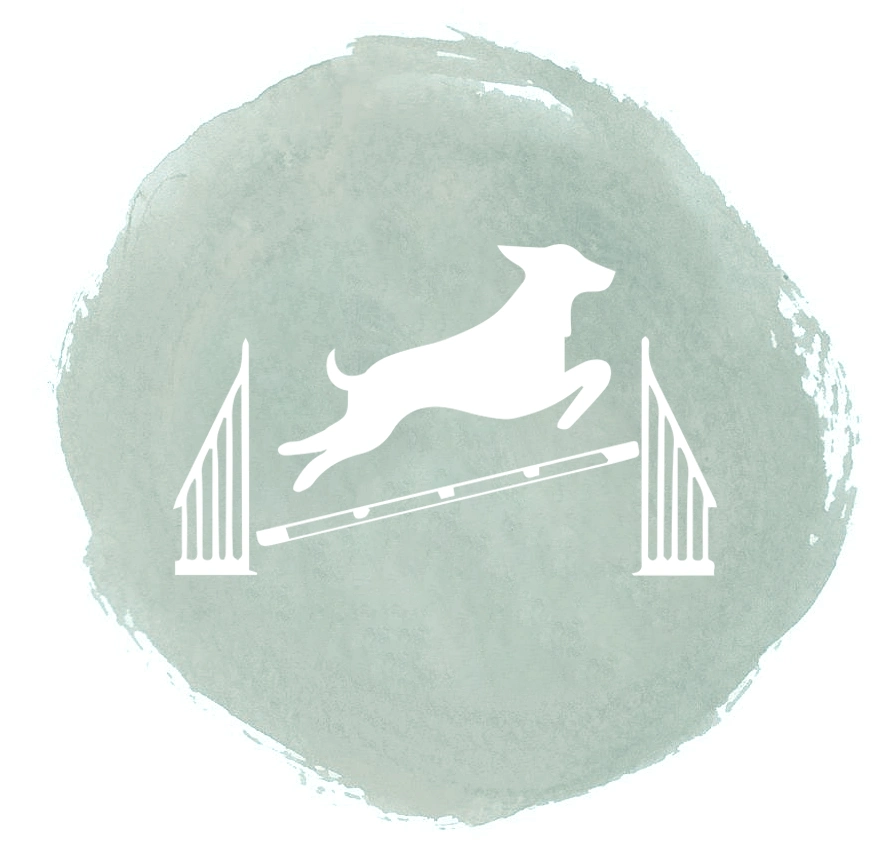 sprung_icon