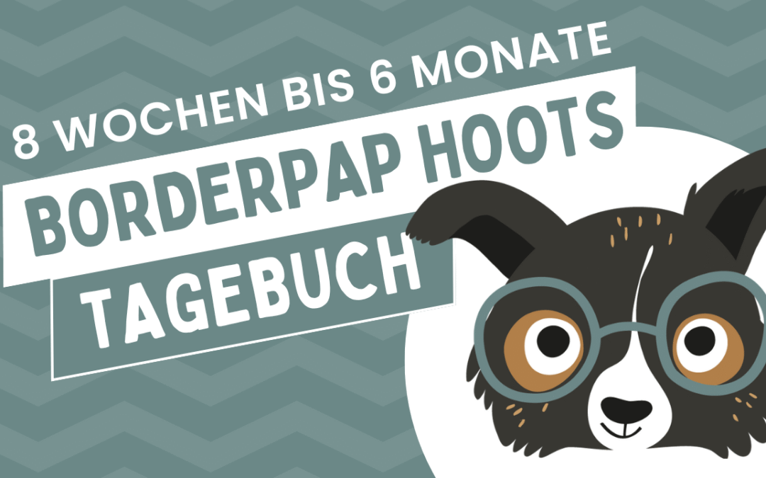 Teil 1