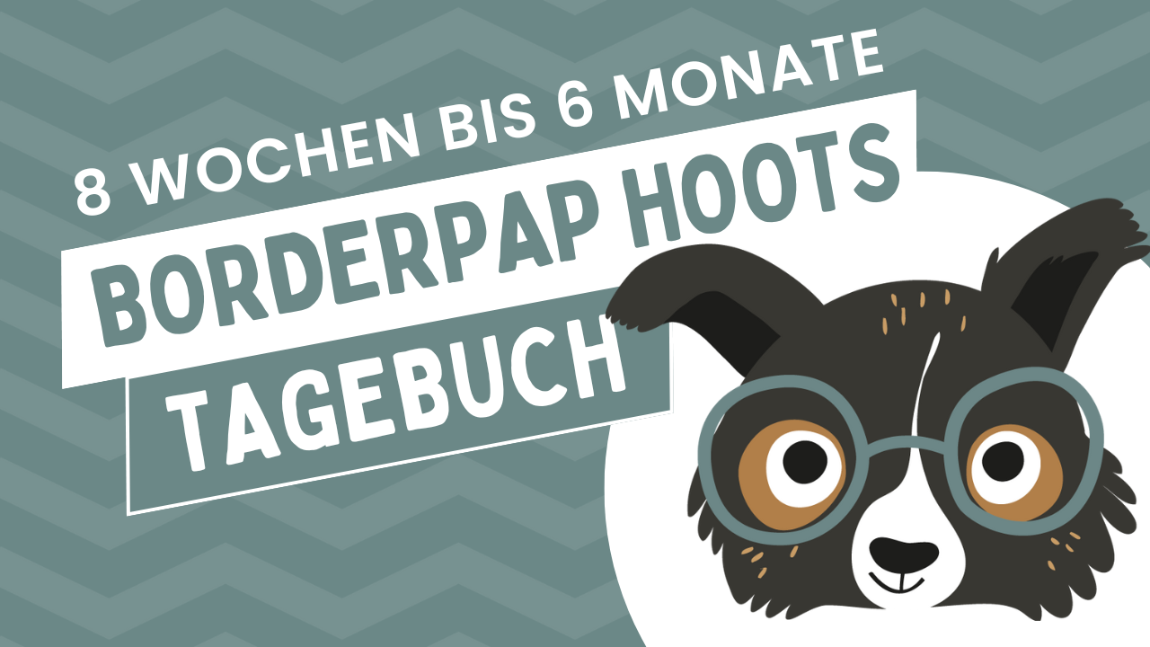 Teil 1