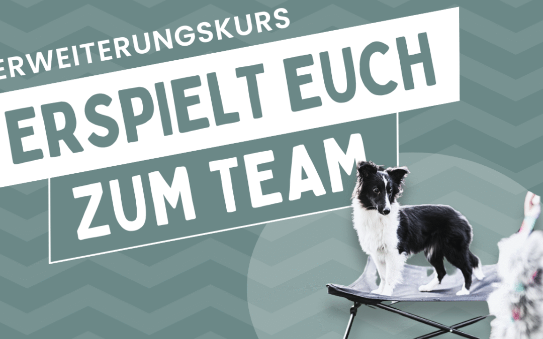 Erweiterungskurs