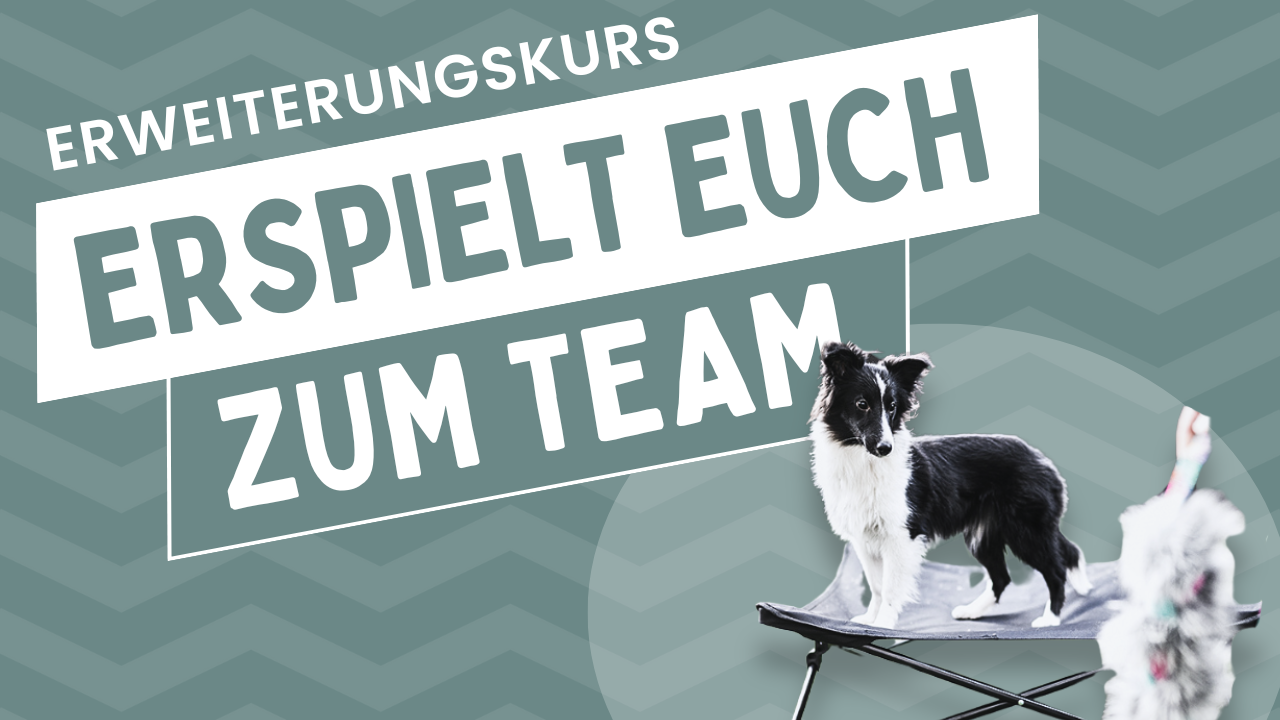 Erweiterungskurs
