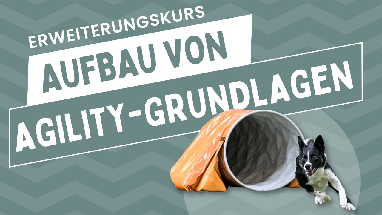 Erweiterungskurs