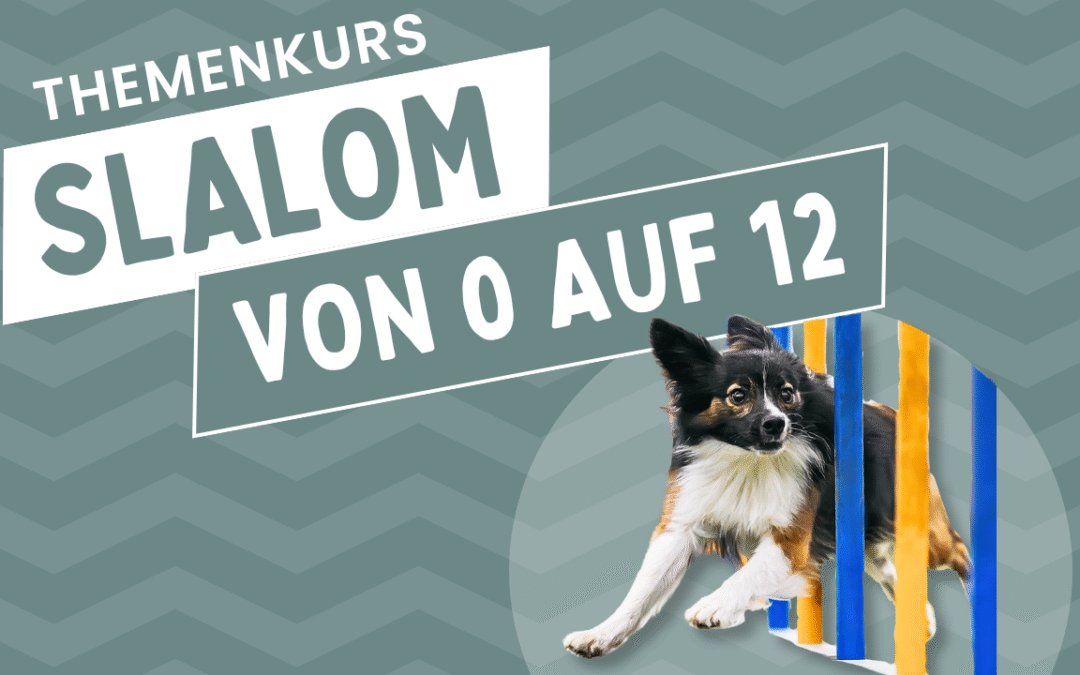 Slalom – Von 0 auf 12