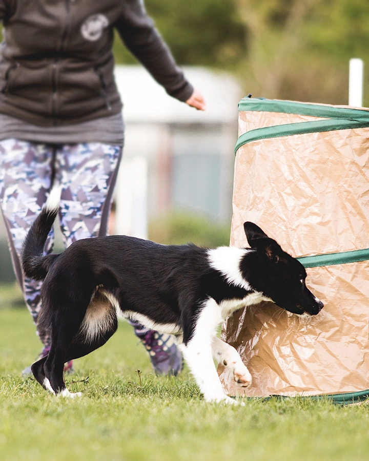 themenkurs_aussen_01