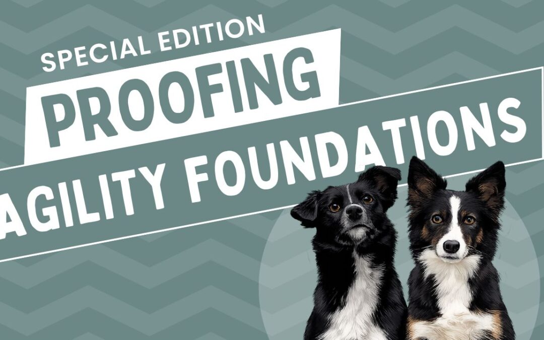 Proofing Agility Foundations