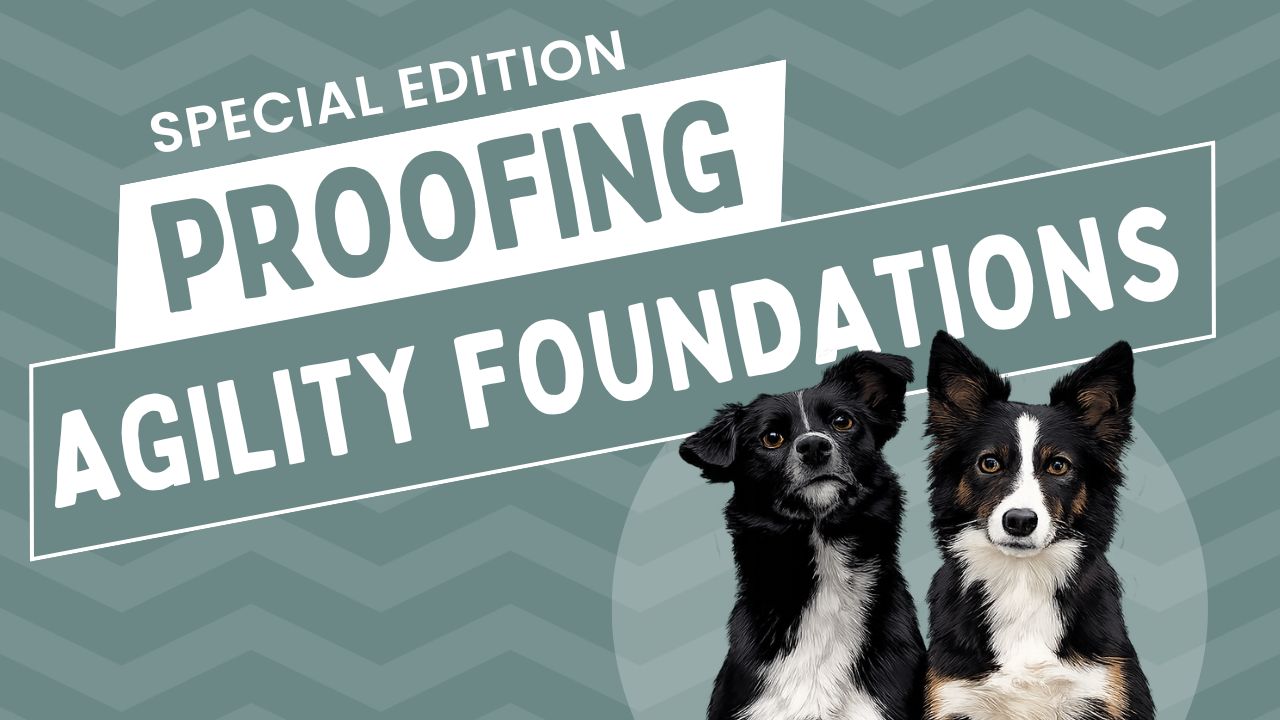 Proofing Agility Foundations