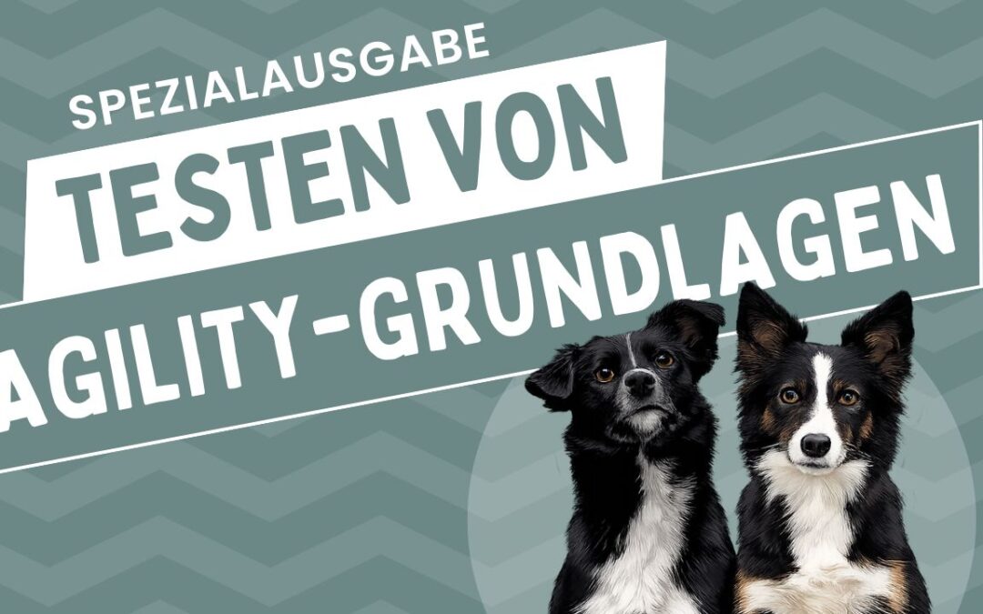 Agility-Grundlagen testen | Spezialausgabe